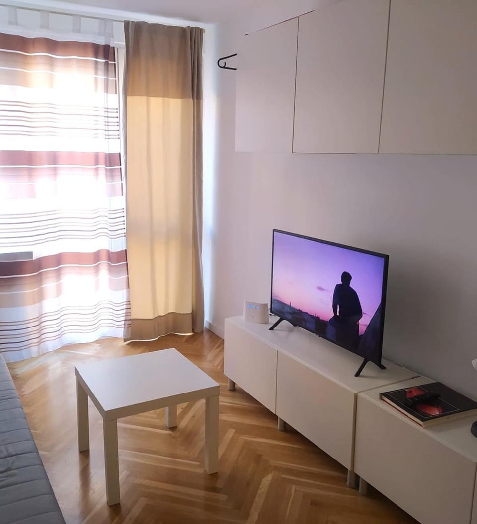 TV and multimedia, internet