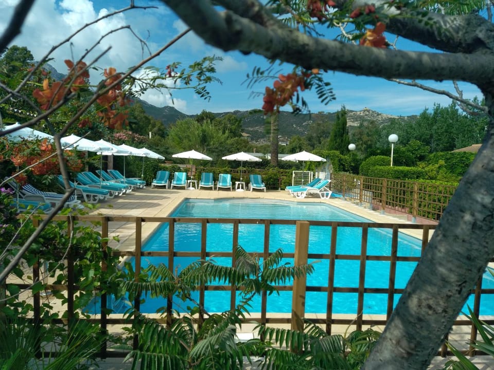 Garden, Garden view, Pool view, Swimming pool