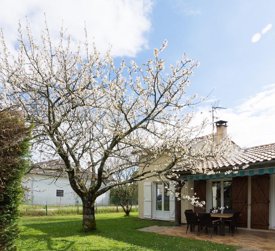 Garden, Garden view