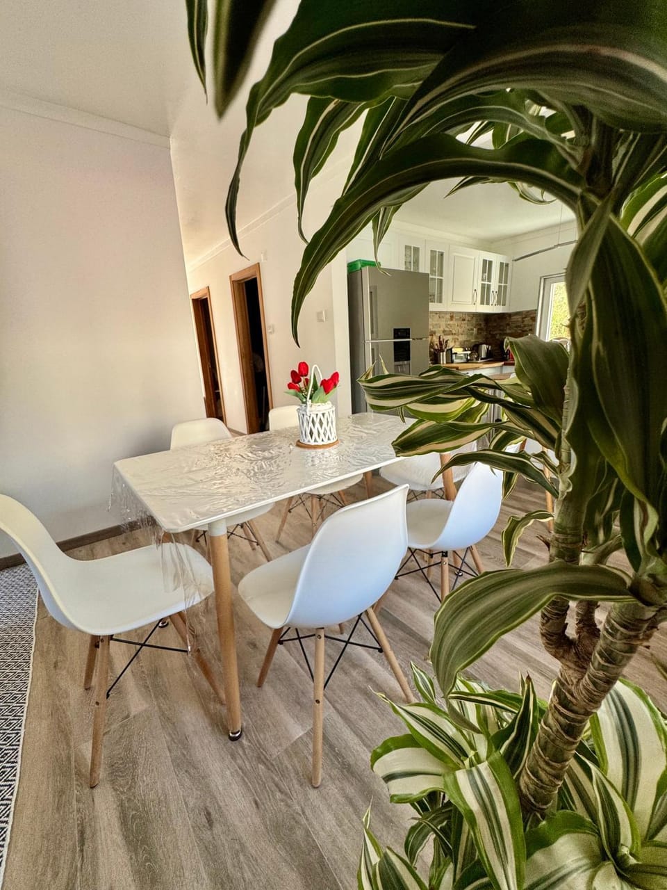 Alojamento dos Remédios Apartment in Portugal