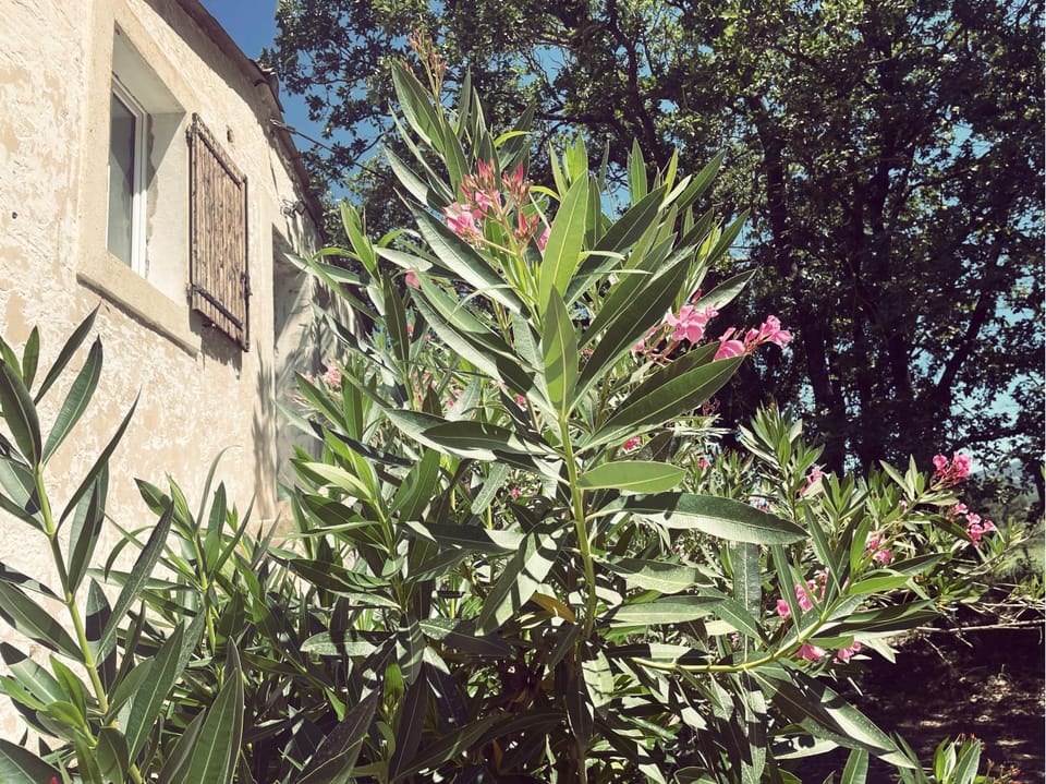 Appartement à la campagne Apartment in L'Isle-sur-la-Sorgue