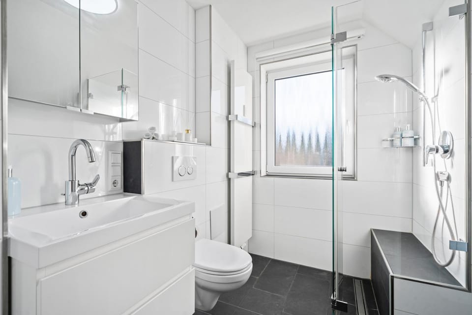 Shower, Toilet, Bathroom, towels