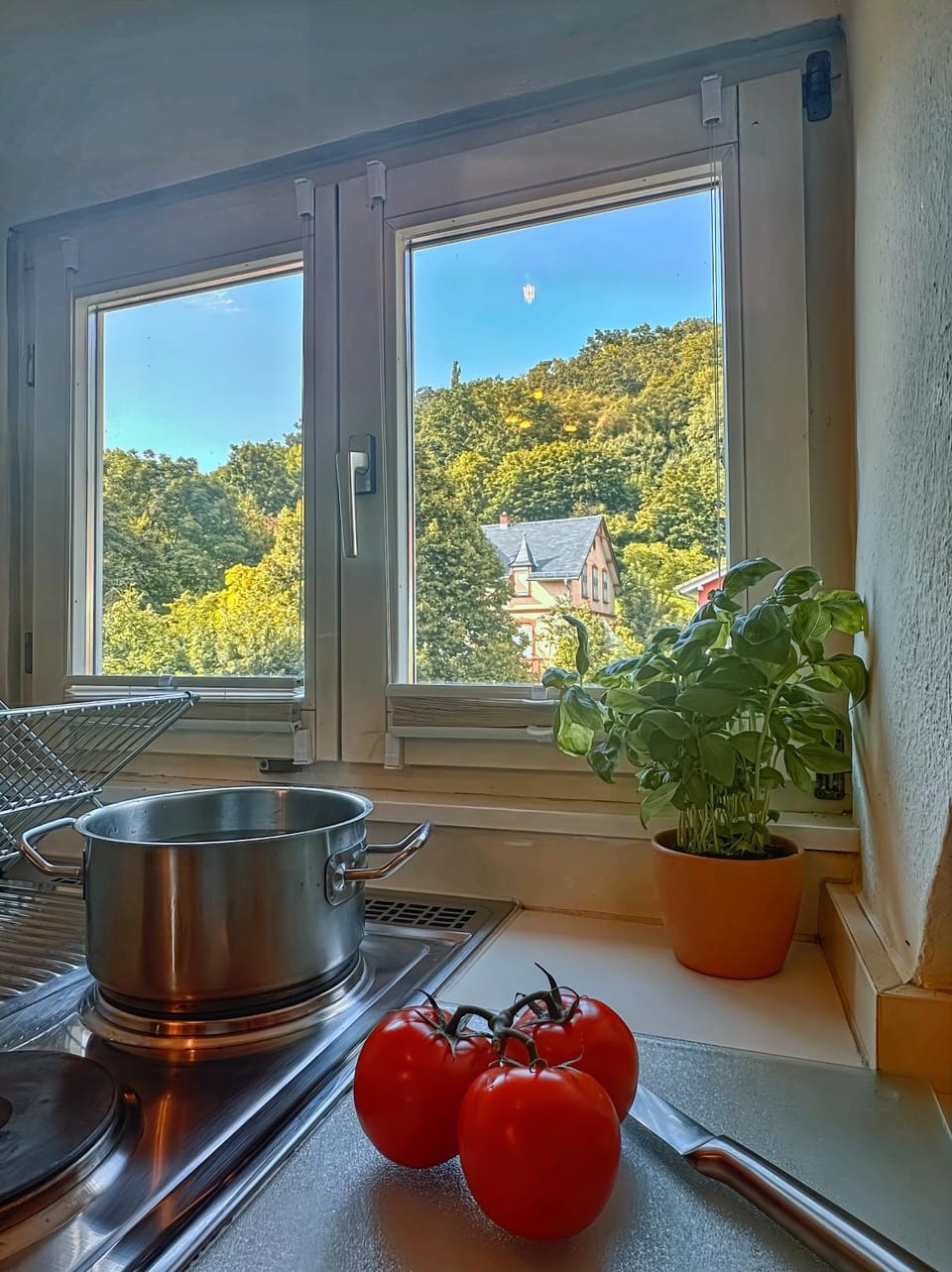 Mountain view, kitchen