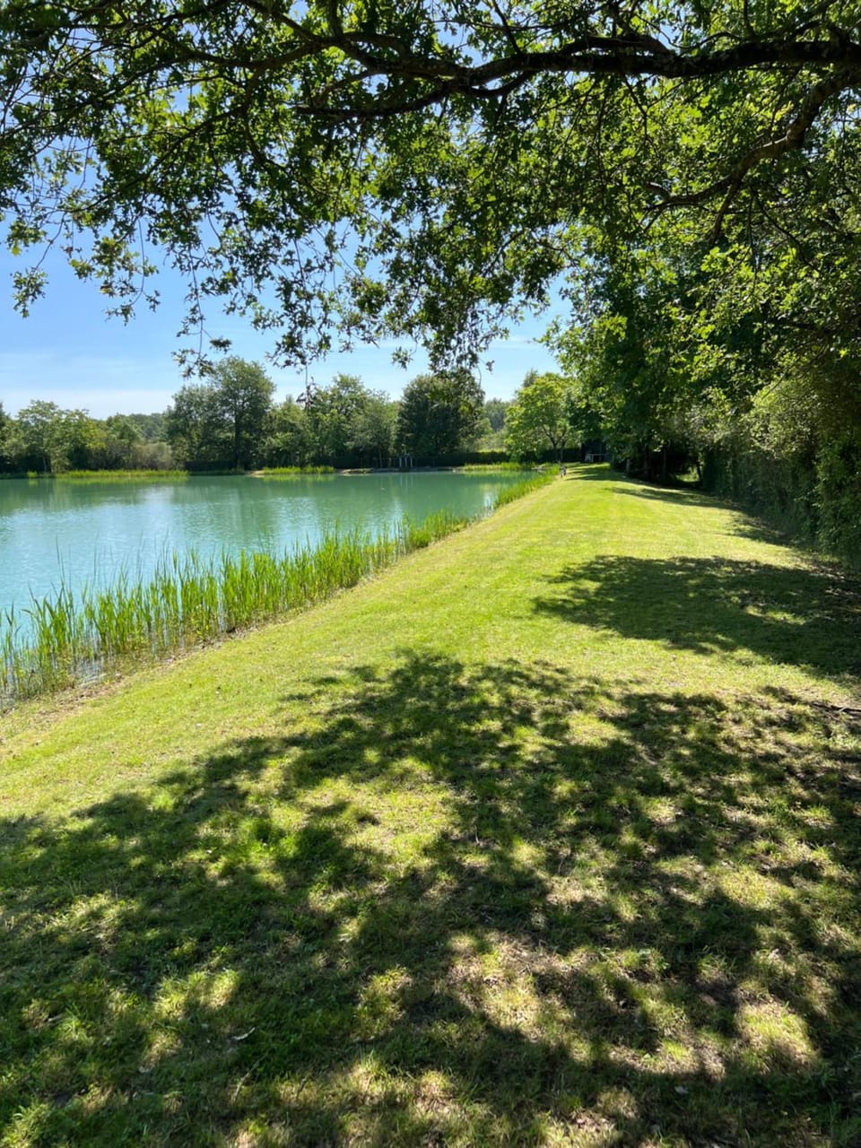 Maison avec piscine et étang, un coin de paradis House in Centre-Val de Loire