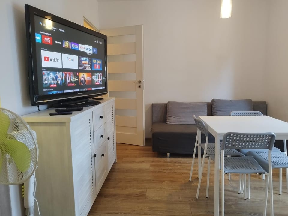 TV and multimedia