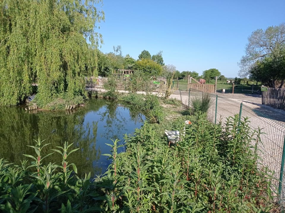 La villa Saint-Martin Bed and Breakfast in Normandy