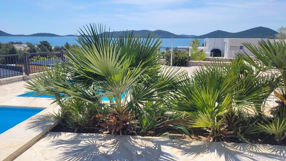 Pool view, Sea view