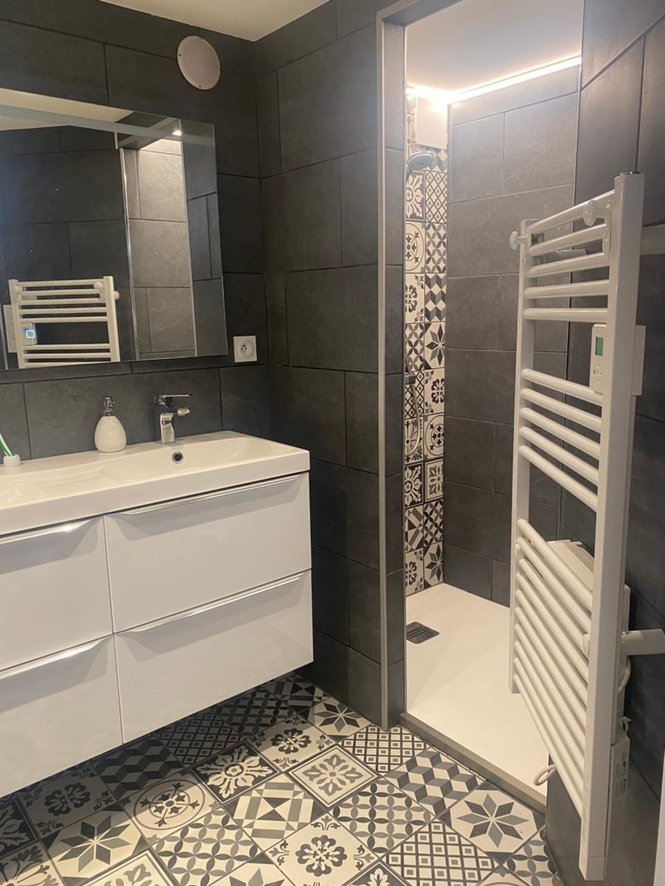 CHAMBRE CHEZ L'HABITANT CENTRE VILLE DE LYON Vacation rental in Lyon