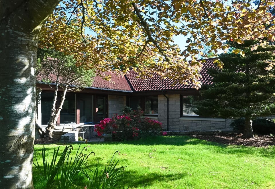 Property building, Spring, Day, Natural landscape, Garden view