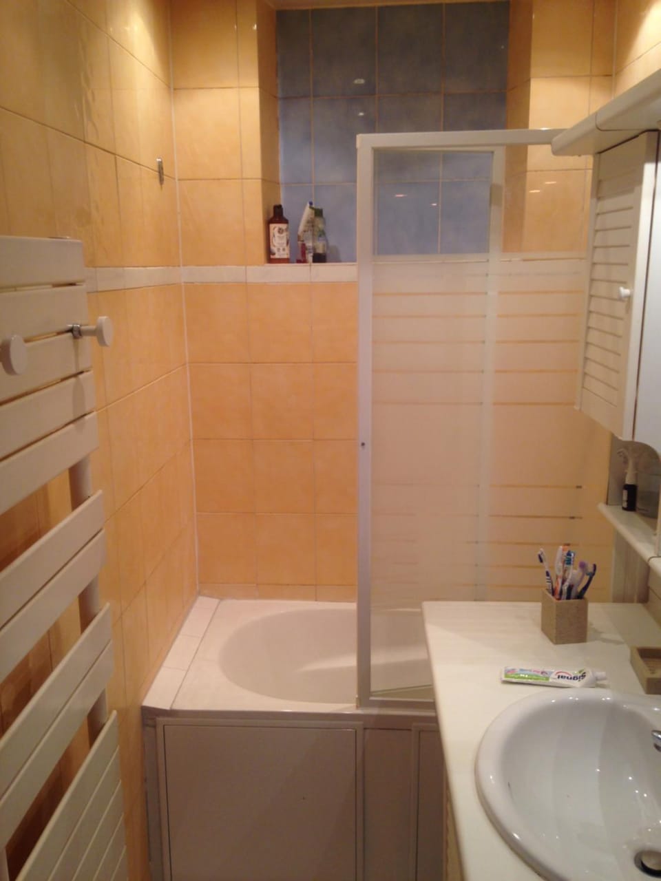 Appartement dans immeuble haussmannien Apartment in Paris