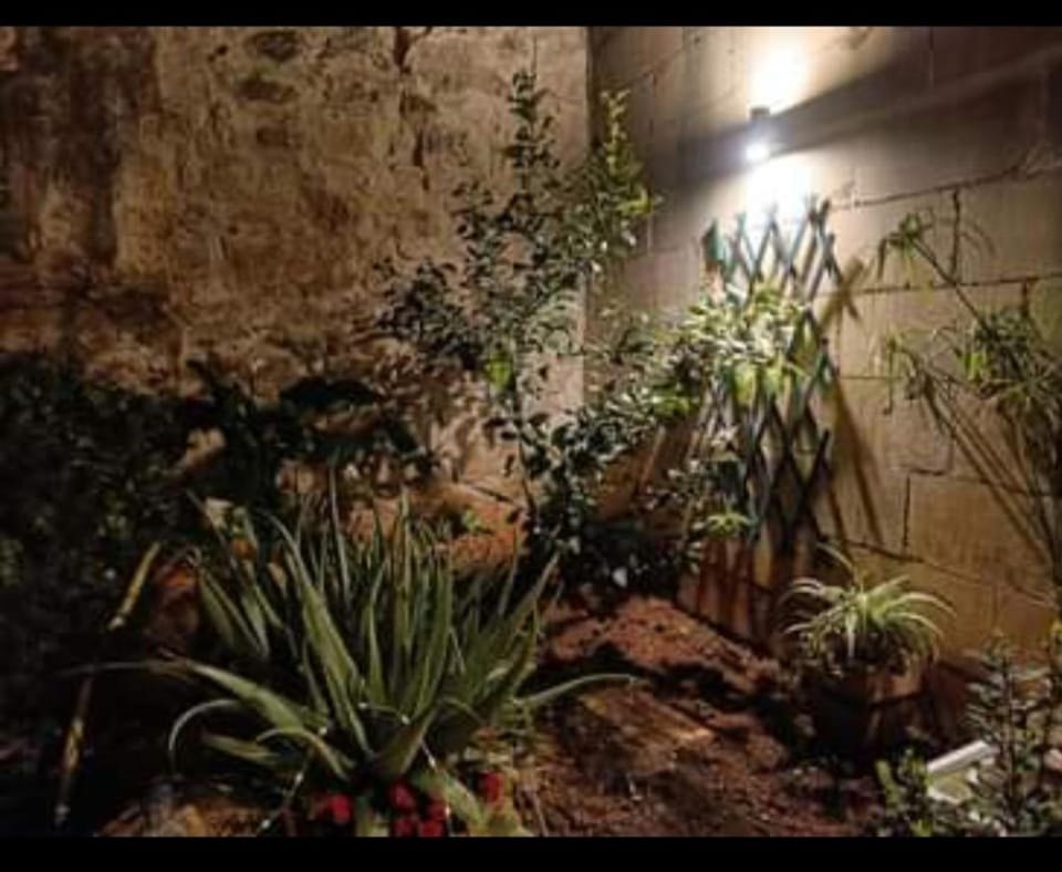 Room in Ain Karem - A Maltese Traditional Townhouse Vacation rental in Malta