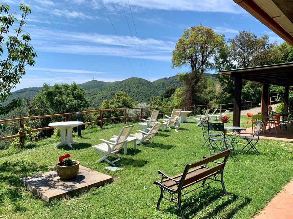 Garden, Balcony/Terrace