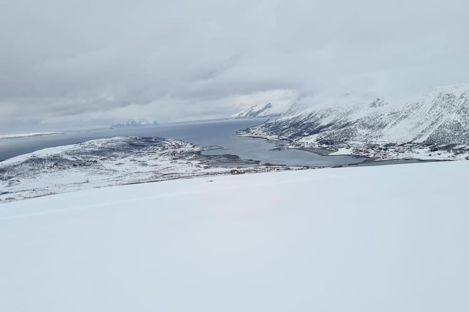 Bird's eye view, Winter