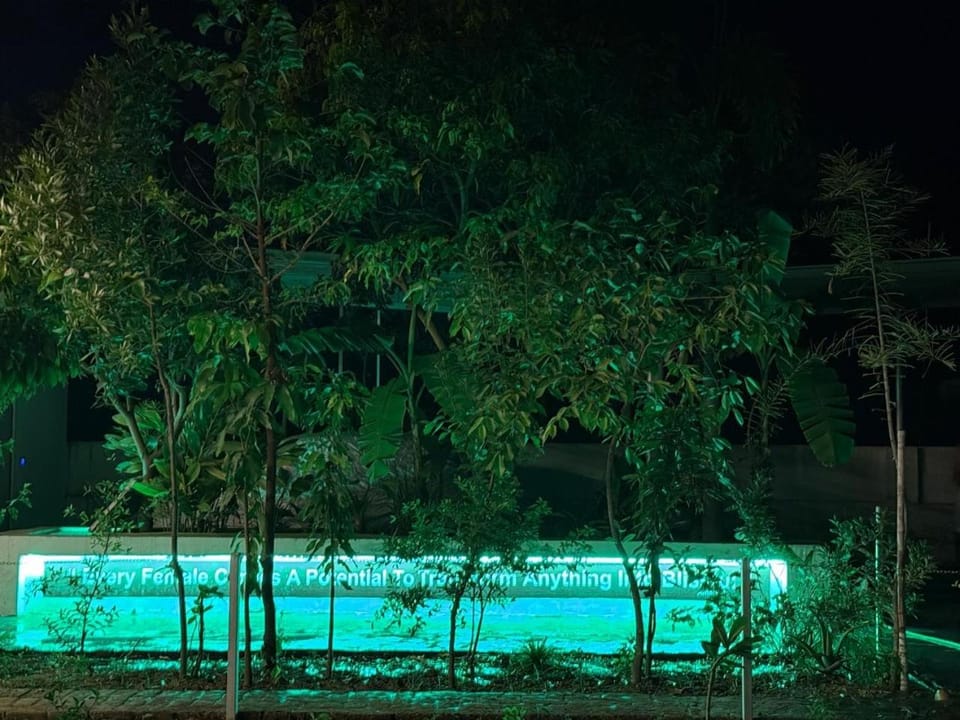 Night, Garden