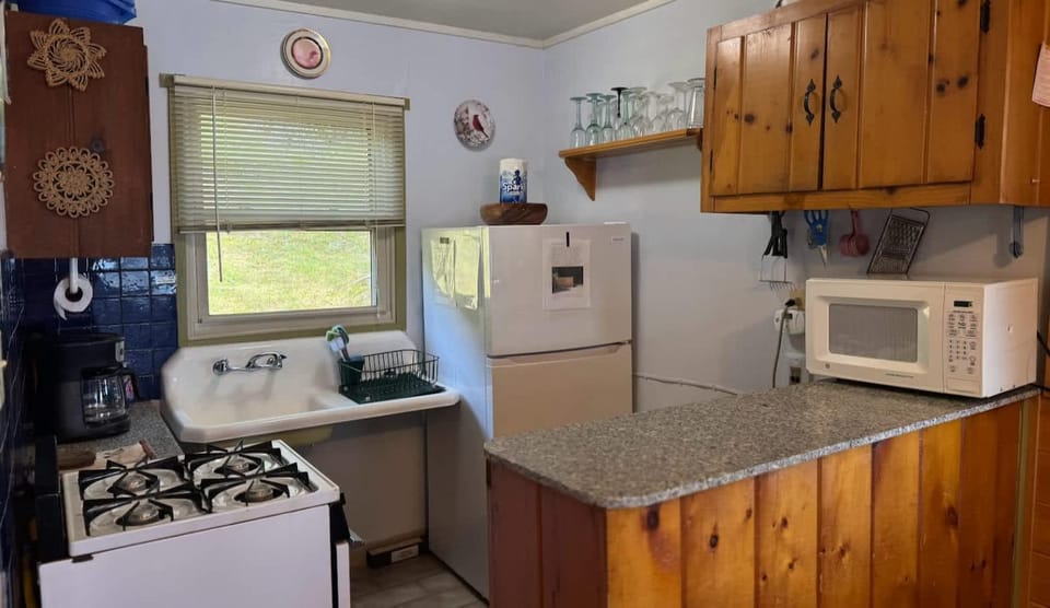Kitchen or kitchenette, kitchen