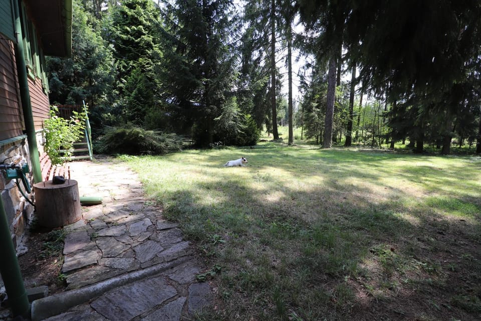 Garden, Garden view, Inner courtyard view
