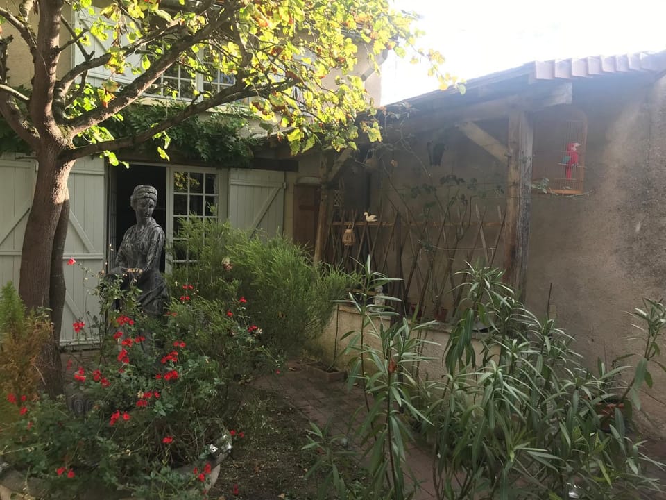 Patio, Day, Garden, Garden view