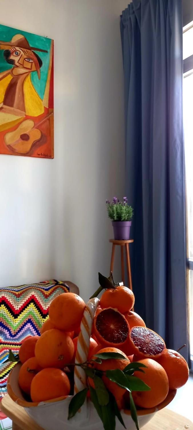 Casa O Sole mio Apartment in Syracuse