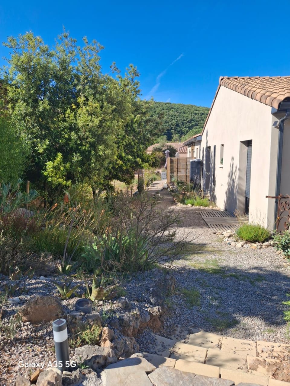 Property building, Spring, Day, Natural landscape, Garden, Garden view