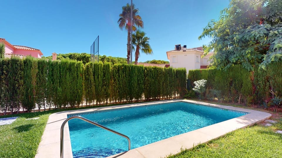 Patio, Garden, Garden view