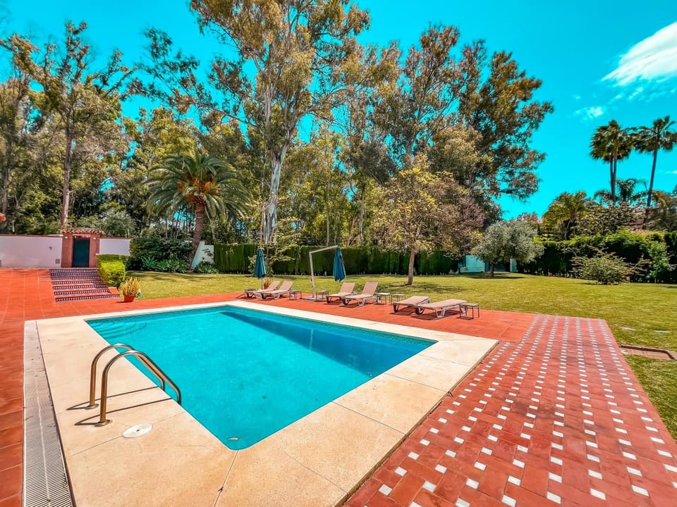 Garden, Garden view, Pool view, Swimming pool, Swimming pool, sunbed