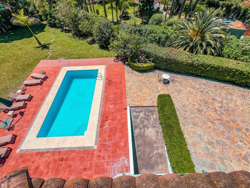 Garden, Garden view, Pool view, Swimming pool, sunbed