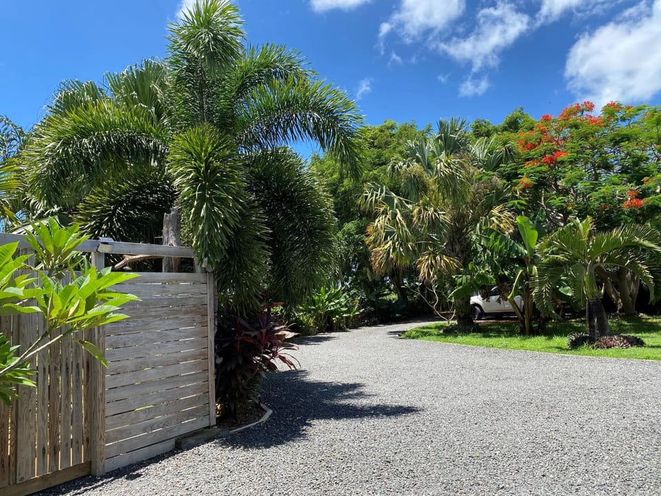 Garden view