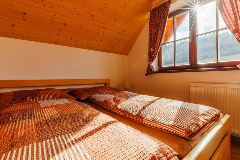 Roubenka Orlice - Orlické hory Villa in Czechia