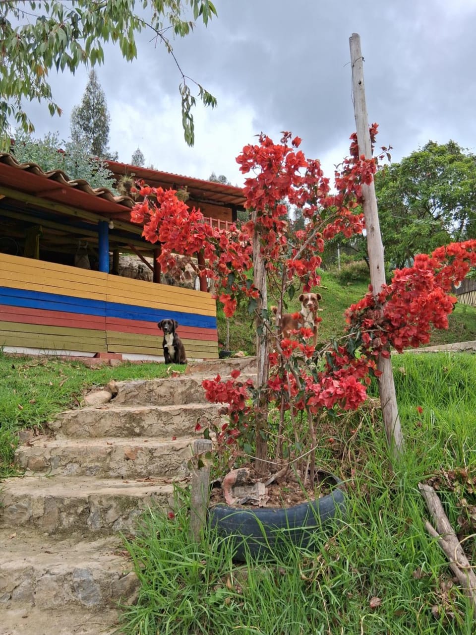 Glamping colina campestre ecológica House in Duitama