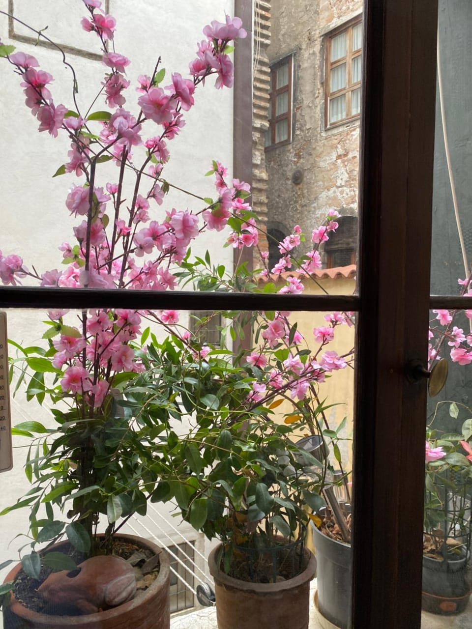 Spring, View (from property/room)