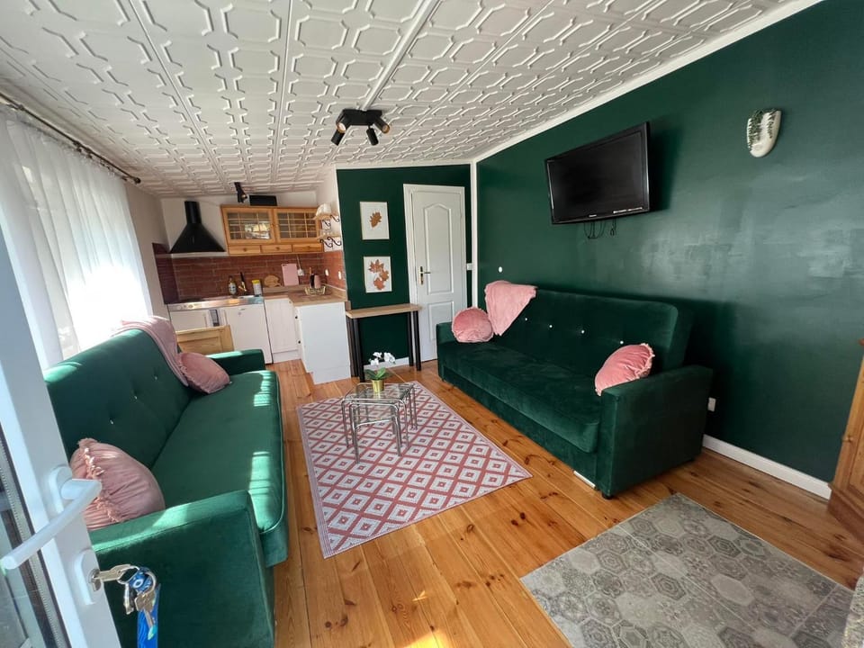Apartament zielony nad jeziorem PZW Kazub Apartment in Pomeranian Voivodeship