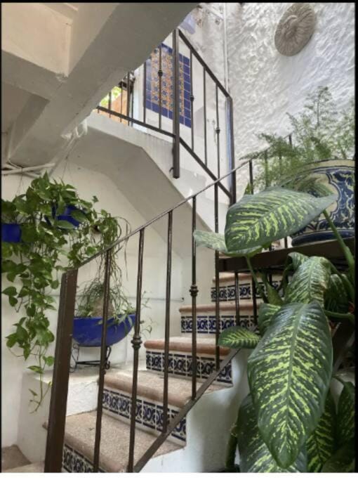 Studio Jardin Secret - Charming Garden Apartment in Puerto Vallarta