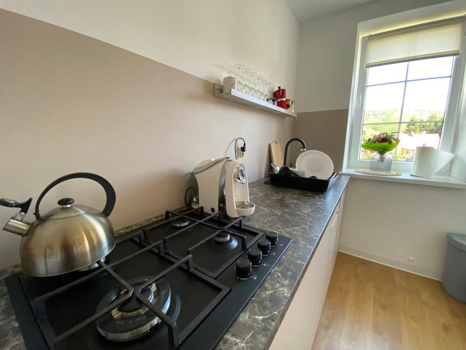 PrzyLądek Zdrój Bike Apart Apartment in Lower Silesian Voivodeship