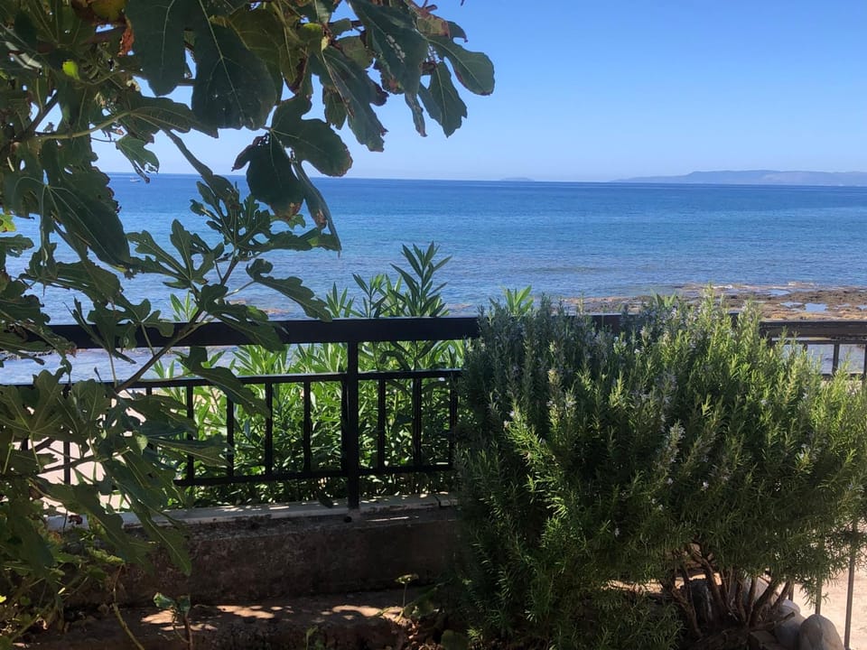 Sea view