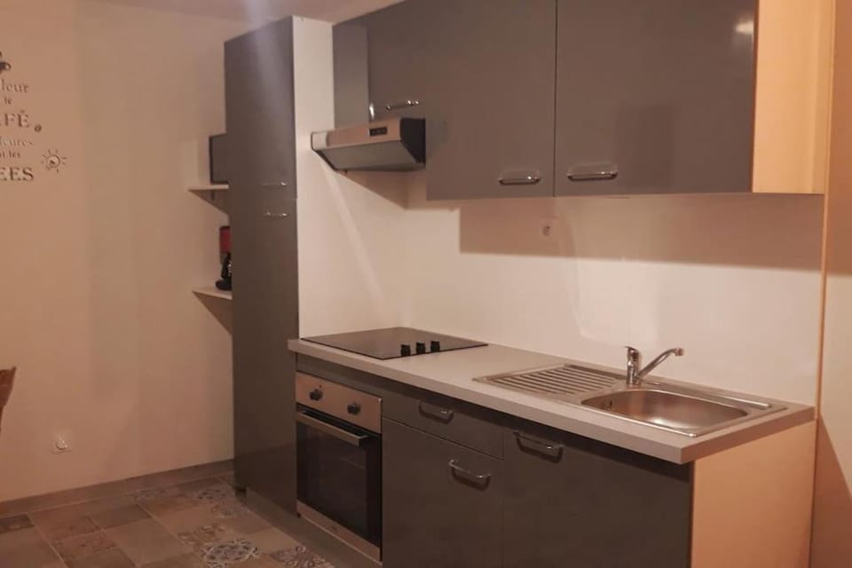 Kitchen or kitchenette, minibar, pet friendly, stove