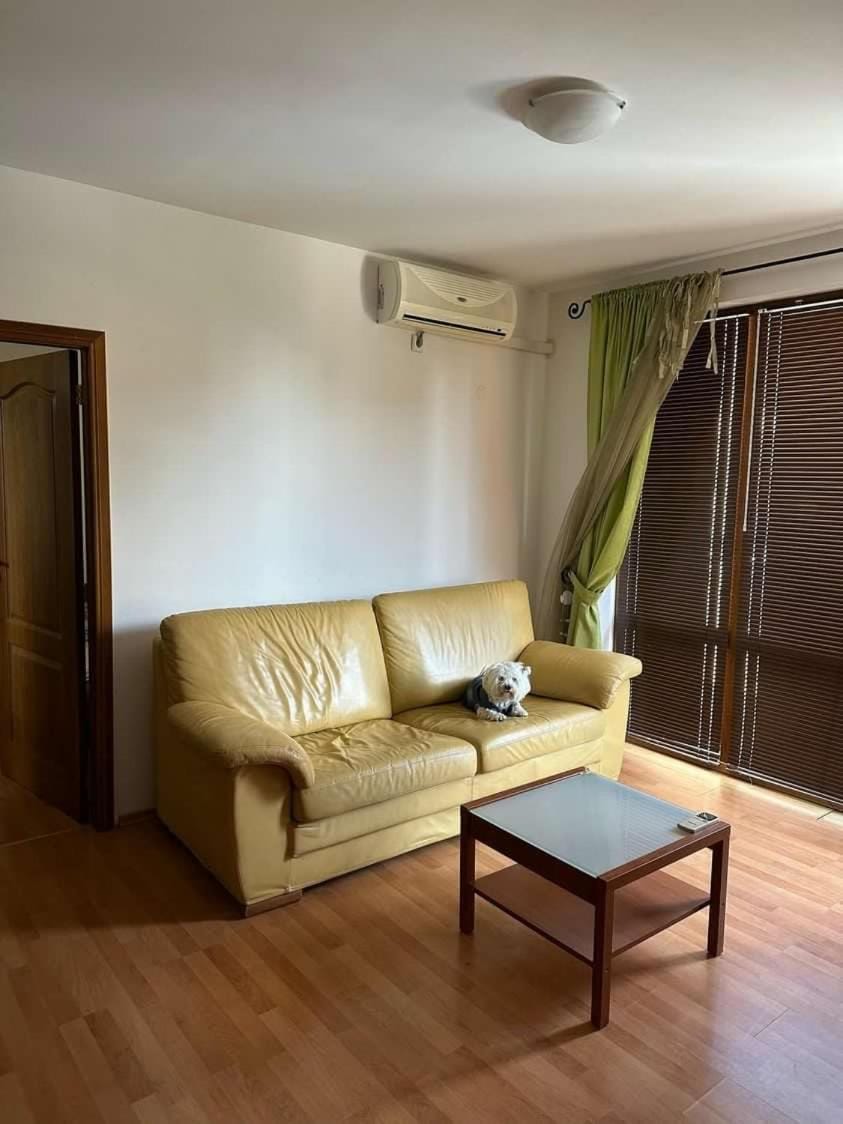 Tania's Home Apartment in Sunny Beach