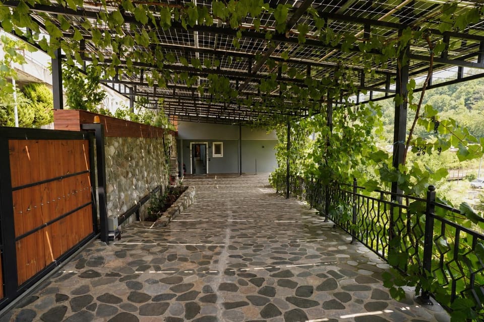 Spring, Garden, Garden view