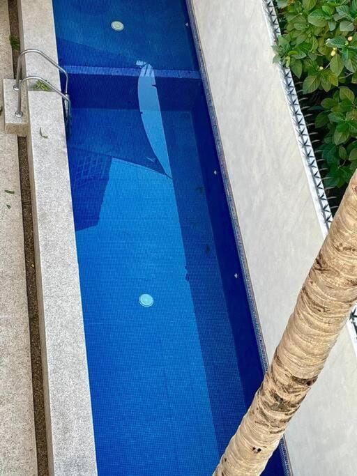 Day, Pool view, Swimming pool