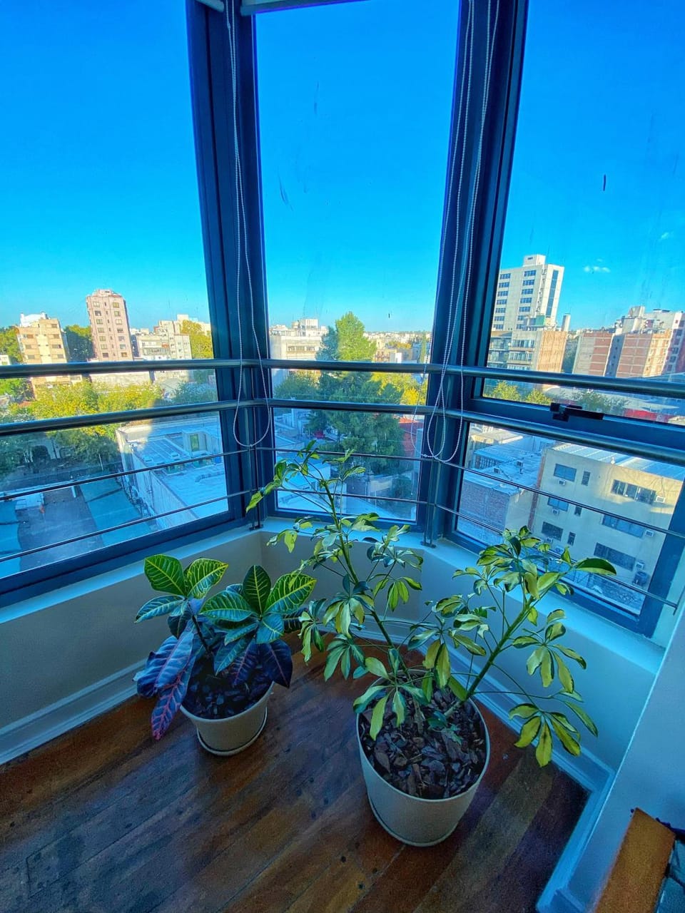 View (from property/room), City view