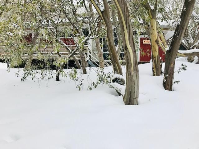 Natural landscape, Winter