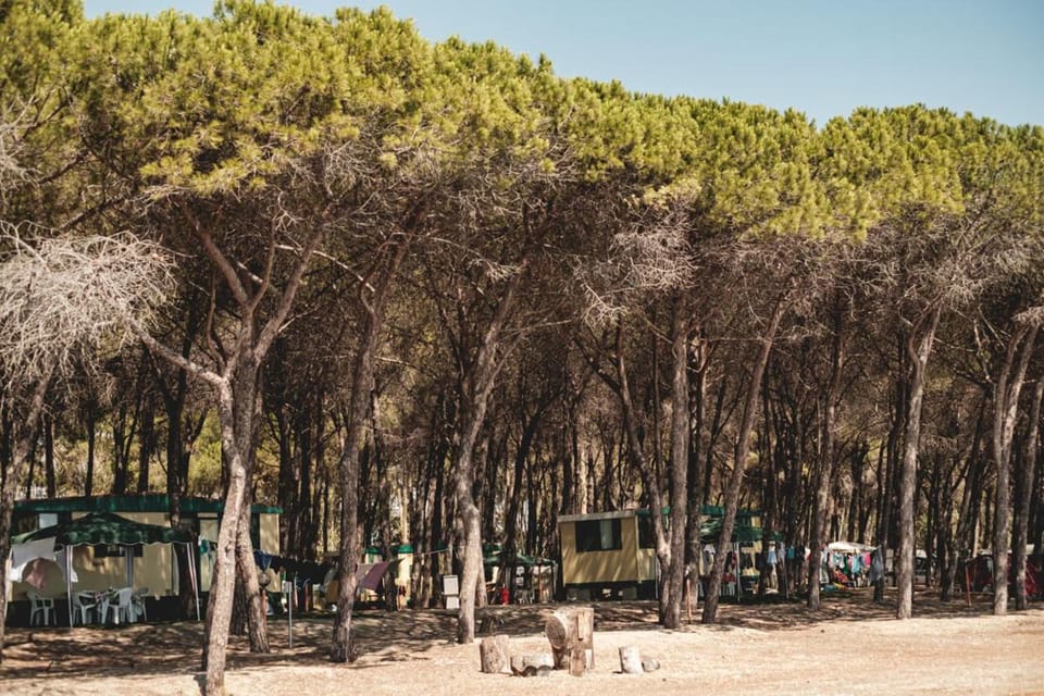 Camping Cammello Grigio Campground/ 
RV Resort in Calabria
