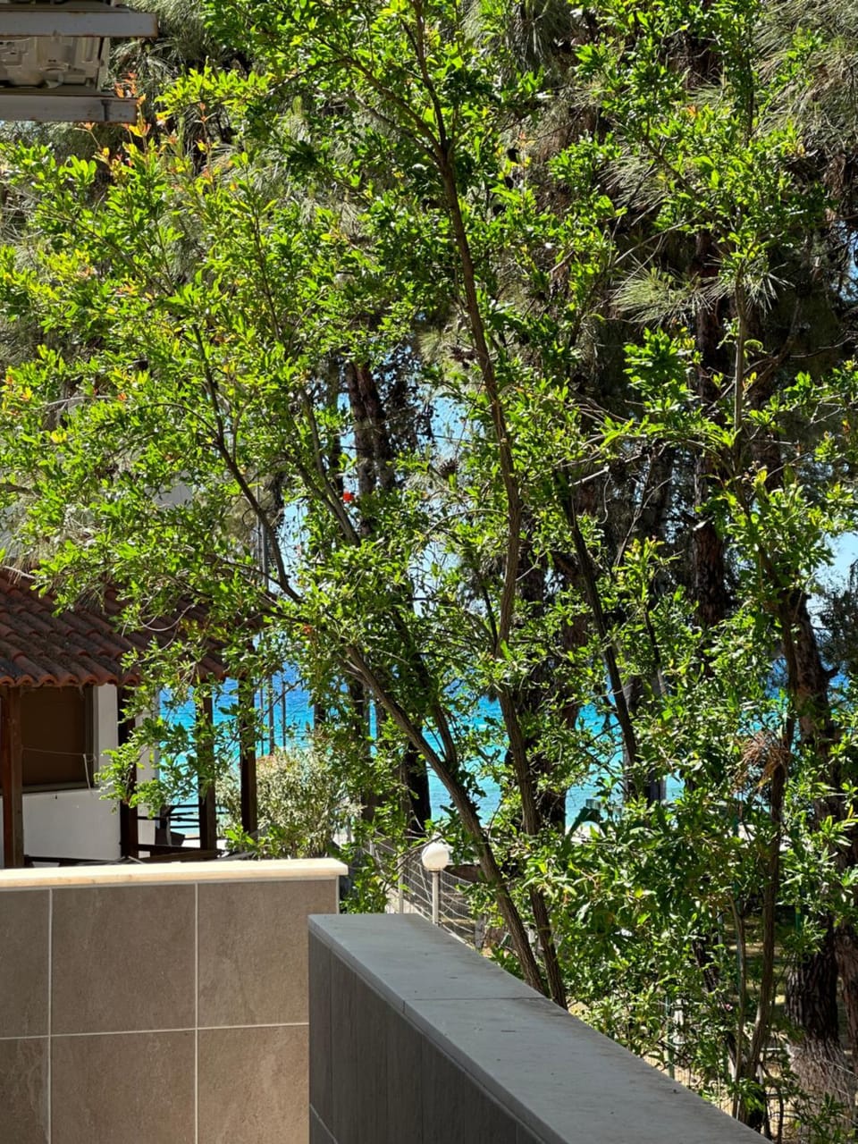 Sea and sun apartment Apartment in Nikiti