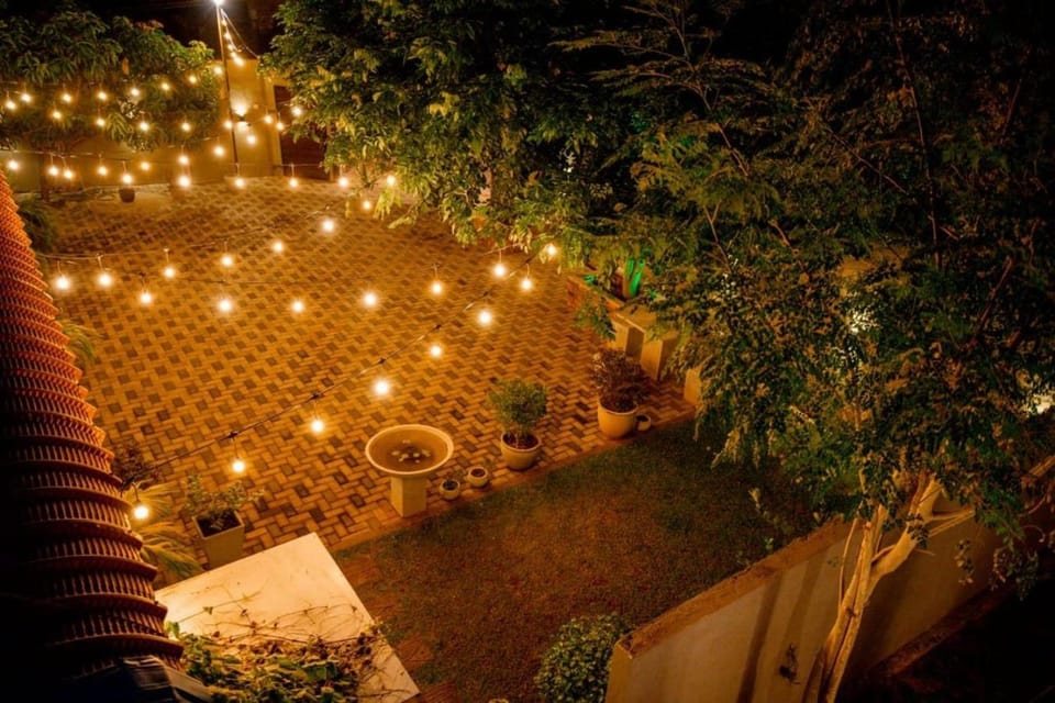 Property building, Night, Garden, Garden view