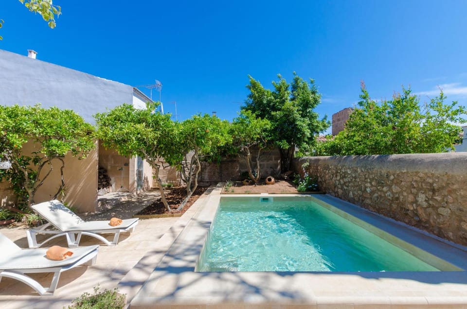 Other, Swimming pool, sunbed