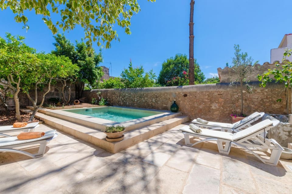 Patio, Other, Swimming pool, sunbed