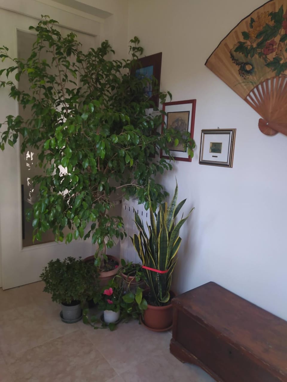 Casa vacanza "A Castelfranco d'Oglio" Apartment in Lombardy