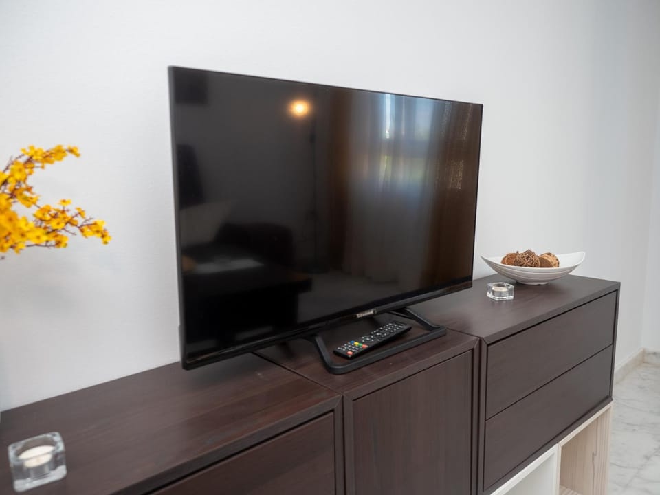 TV and multimedia