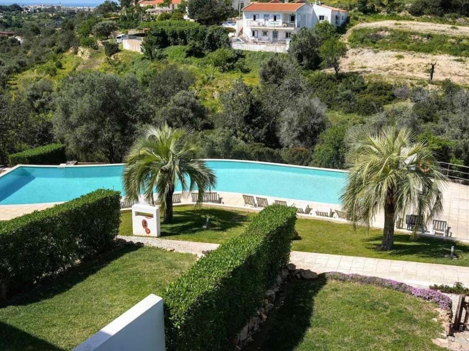 Garden, Swimming pool