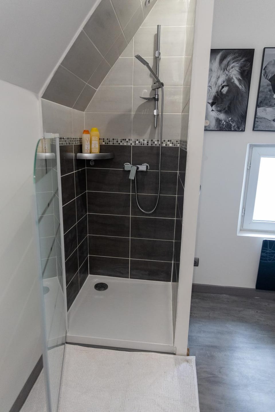 Shower, Bathroom