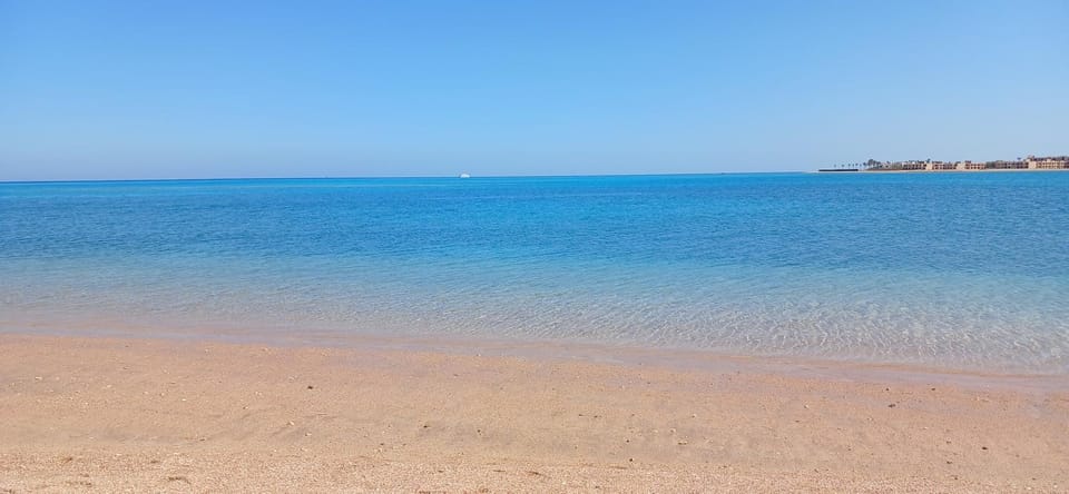 Day, Swimming pool, sunbed